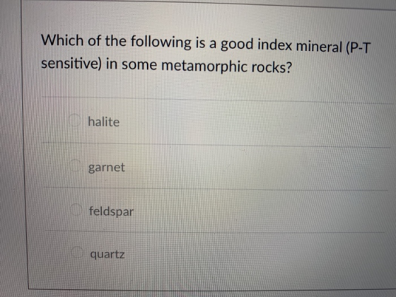 Which of the following is a good index mineral (P-T sensitive) in some metamorphic rocks? halite garnet feldspar quartz