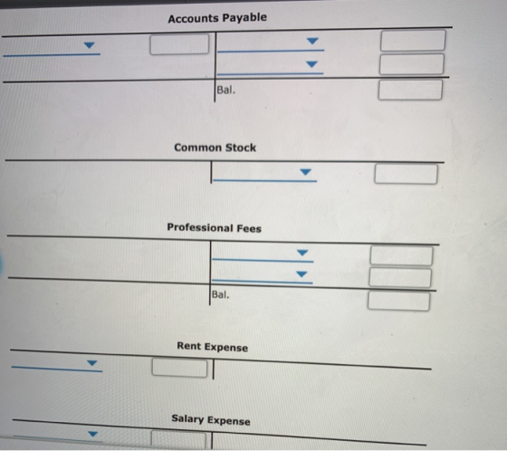 Accounts Payable Bal. Common Stock Professional Fees Rent Expense Salary Expense