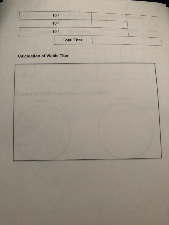 10-1 10-2 10-3 Total Titer: Calculation of Viable Titer