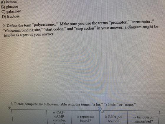 LOJL B) glucose C) galactose D) fructose 2. Define the term “polycistronic. Make sure you use the terms promoter, termina