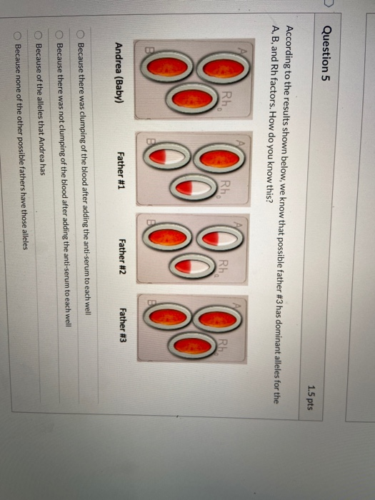 Question 5 1.5 pts According to the results shown below, we know that possible father #3 has dominant alleles for the A, B, a