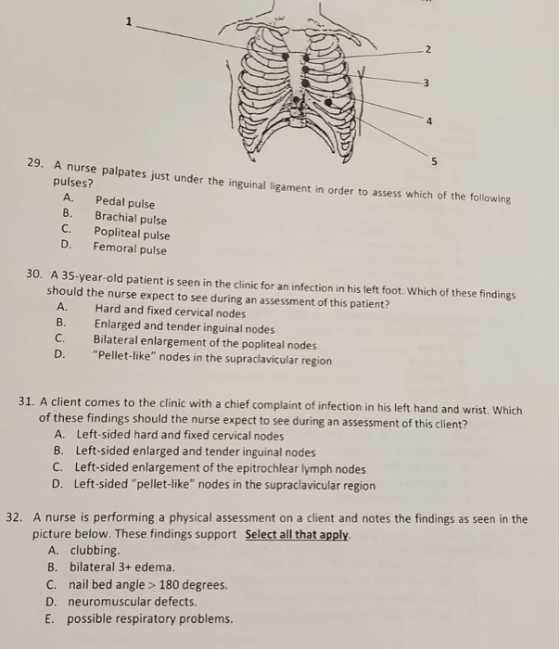 A nurse palpates just under the inguinal ligament in order to assess which of the following pulses? A. Pedal pulse B. Brachia
