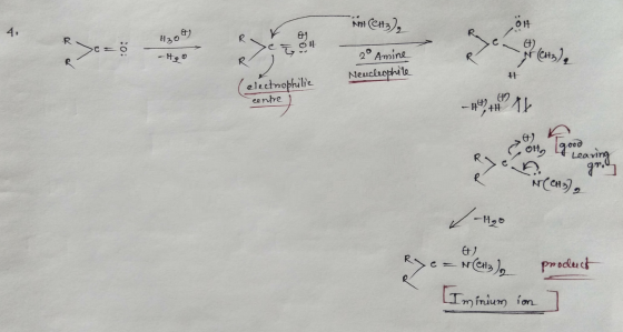 NH CH), 430G 10: 2° Amine Neucleophile H electrophilic centre 4, 11 A A a ove (CH3), / -120 ) = N(CH3) product Iminium in