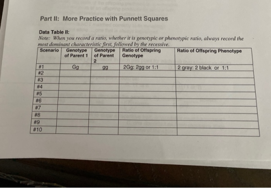 Part II: More Practice with Punnett Squares #1 Data Table II: Note: When you record a ratio, whether it is genotypic or pheno