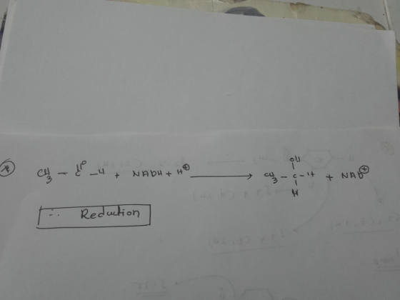 - - { _4 + NADH + HO → a-colt + NAGO W b t. Reduction
