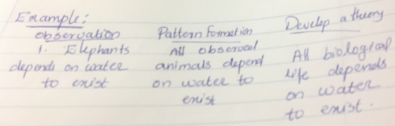 Enamples Observation i Elephants depends on water to exist Pattern formation all Observer animals depend on water to enist De