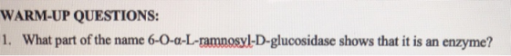 WARM-UP QUESTIONS: 1. What part of the name 6-O-O-L-ramnosyl-D-glucosidase shows that it is an enzyme?