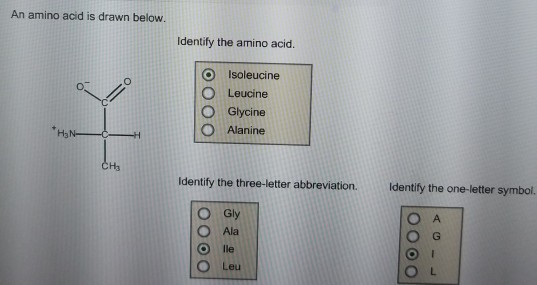 An amino acid is drawn below. Identify the amino acid. O Isoleucine O Leucine O Glycine O Alanine СНЗ Identify the one-letter