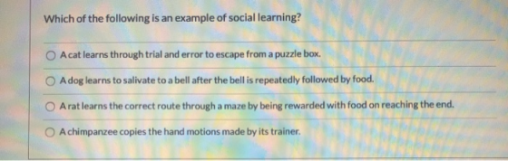 Which of the following is an example of social learning? A cat learns through trial and error to escape from a puzzle box. A