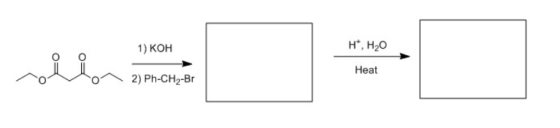 1) KOH H*, H2O Heat 2) Ph-CH2-Br
