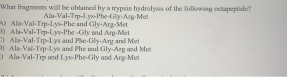 What fragments will be obtained by a trypsin hydrolysis of the following octapeptide? Ala-Val-Trp-Lys-Phe-Gly-Arg-Met A) Ala-