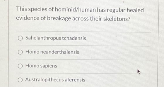 This species of hominid/human has regular healed evidence of breakage across their skeletons? Sahelanthropus tchadensis O Hom