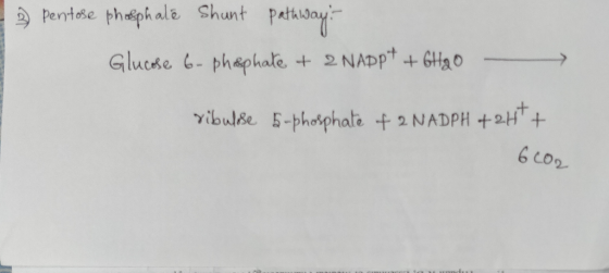 - 3 pentose phosphate Shunt pathway: Glucose 6-phosphate + 2 NADP+ + 6H20 ribulose 5-phosphate of 2 NADPH + 2 H+ 6CO2