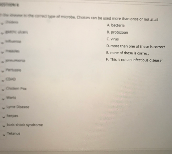the correcte of microbe. Choices can be used more than once or not at all A bacteria B. protozoan C. virus D. more than one o