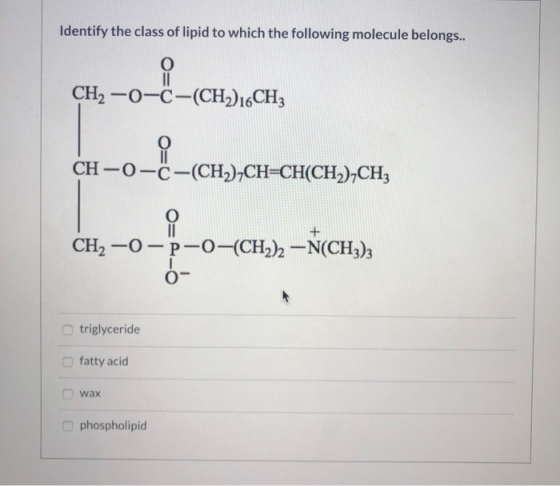 Identify the class of lipid to which the following molecule belongs.. CH2 -0-C-(CH2) 16CH; CH-0-C-(CH)-CH=CH(CH2)-CH, O = CH,