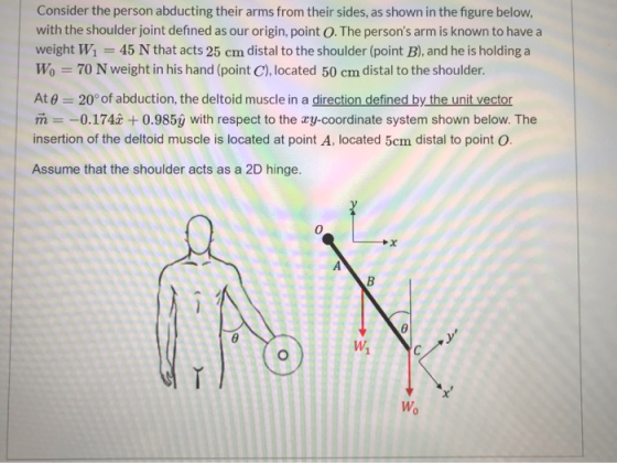 Consider the person abducting their arms from their sides, as shown in the figure below, with the shoulder joint defined as o