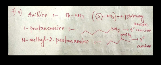 ( my Ani Qine Ph Art2 NH amime NH2 1amine 1- pentanawnine meth-2-petn amine N- amine