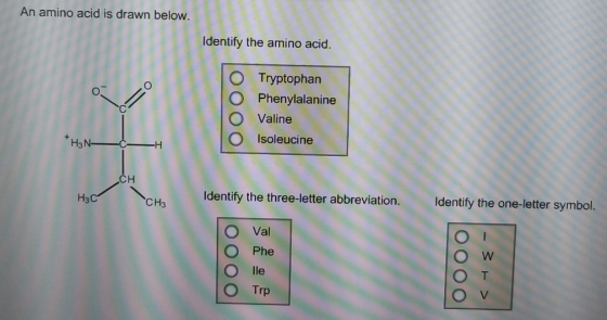 An amino acid is drawn below. Identify the amino acid. O Tryptophan O Phenylalanine O Valine O Isoleucine O. CH Had / Identif