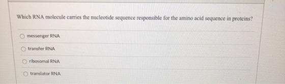 Which RNA molecule carries the nucleotide sequence responsible for the amino acid sequence in proteins? messenger RNA transfe