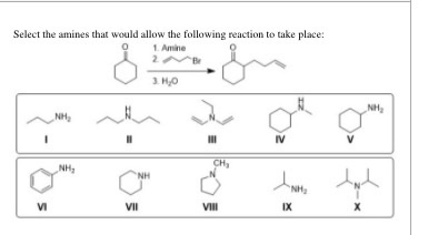 Select the amines that would allow the following reaction to take place: 1. Amine 3.HO NH NH - III IV V NH, NH N NH IX и VII