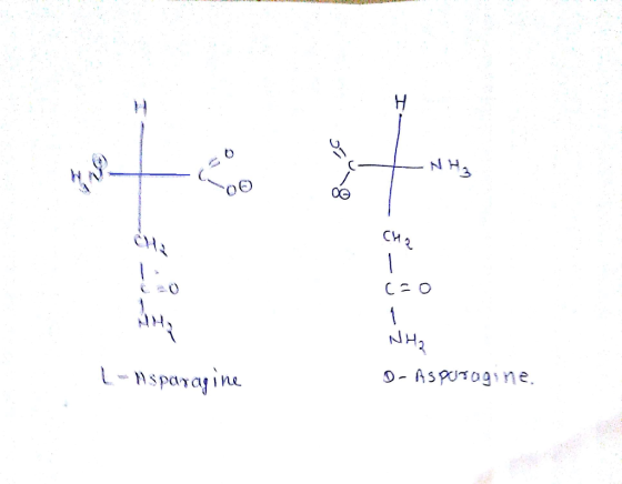 NH 3 CH Mspayajinu
