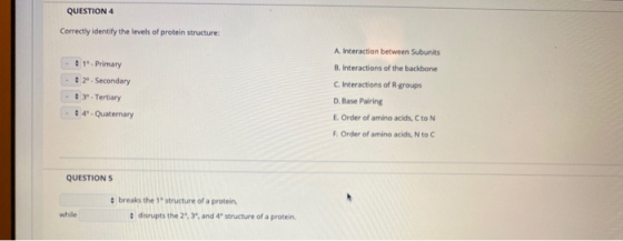 QUESTION 4 Correctly identify the levels of protein structure: 1- Primary • 2. Secondary - 3 - Tertiary 4. Quaternary A Inter