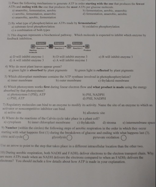 Place the following mechanisms to generate ATP in order starting with the one that produces the few ATPs and ending with the