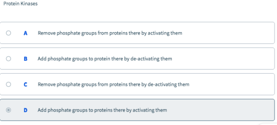 Protein kinases O A Remove phosphate groups from proteins there by activating them O B Add phosphate groups to protein there