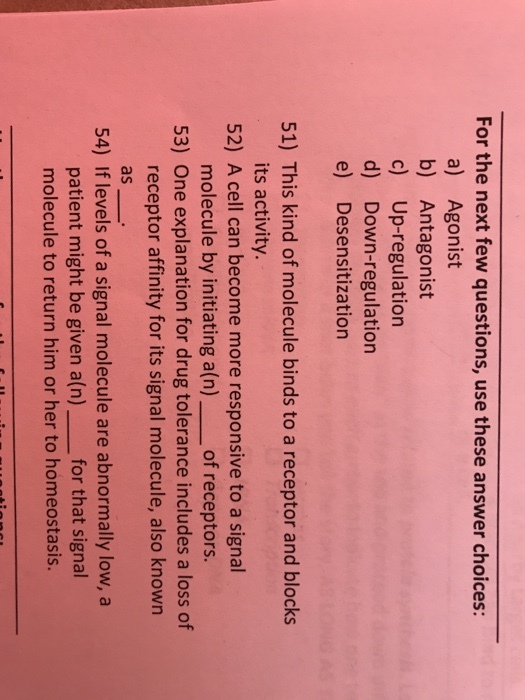 For the next few questions, use these answer choices: a) Agonist b) Antagonist c) Up-regulation d) Down-regulation e) Desensitization 51) This kind of molecule binds to a receptor and blocks 52) A cell can become more responsive to a signal 53) One explanation for drug tolerance includes a loss of its activity. molecule by initiating a(n) of receptors. receptor affinity for its signal molecule, also known as 54) If levels of a signal molecule are abnormally low, a patient might be given a(n) for that signal molecule to return him or her to homeostasis.