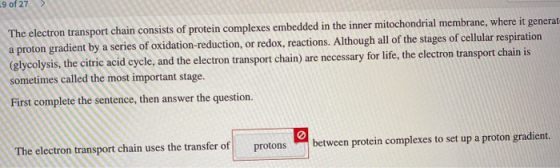 The electron transport chain consists of protein complexes embedded in the inner mitochondrial membrane, where it generat a p