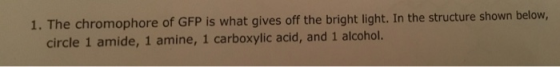 1. The chromophore of GFP is what gives off the bright light. In the structure shown belovw, circle 1 amide, 1 amine, 1 carboxylic acid, and 1 alcohol