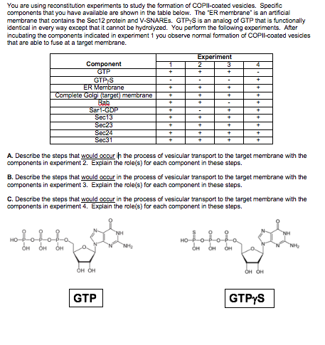 You are using reconstitution experiments to study the formation of COPIl-coated vesicles. Specific components that you have a