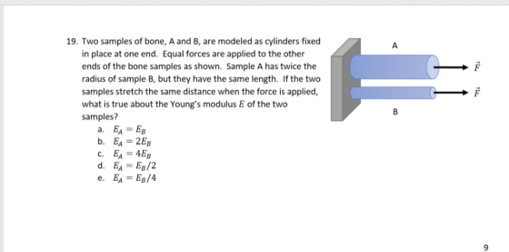 19. Two samples of bone, A and B, are modeled as cylinders fixed A in place at one end. Equal forces are applied to the other