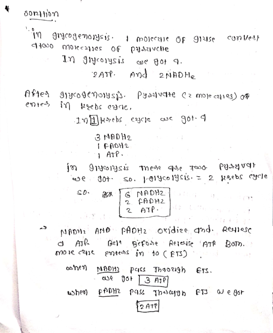 60233) รว ginse contest in glycogenolysis. I molecule of 400 Morecaries of Pyszivele in grycolysis we got q. 2 ATP. and 2NADH