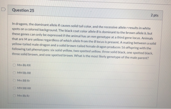 Question 25 2 pts In dragons, the dominant allele R causes solid tail color, and the recessive alleler results in white spots