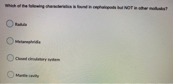 Which of the following characteristics is found in cephalopods but NOT in other mollusks? Radula Metanephridia Closed circula