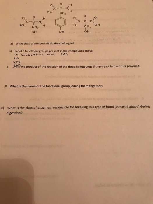 НН но C-C-N но он GH2 он SH он a) What class of compounds do they belong to? b) Label 5 functional groups present in the compounds above c) the product of the reaction of the three compounds if they react in the order provided d) What is the name of the functional group joining them together? What is the class of enzymes responsible for breaking this type of bond (in part d above) during digestion? e)