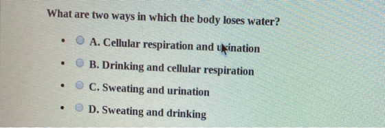 What are two ways in which the body loses water? • O A. Cellular respiration and upination • B. Drinking and cellular respira