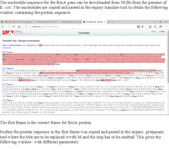 The nucleotide sequence for the RecA gene can be downloaded from NCBI from the genome of E. coli. The nucleotides are copied and pasted in the expasy translate tool to obtain the following window conta ining the protein sequence 哂 ﹃ G perform The Following t pi ! tscherictia coli OD 167-G |: tscherichia coli sa. K-12 put 囧 Trans ant Tool . Results > Home I Contact Translate Translate Tool-Results of translation Open reading frames are highlighted in red Please select one of the following frames in the next page, you will be able to sclect your initiator and retrieve your amino acid equence 53Frane 1 Met AIDENKQKALAAA AAAQREGKTCAFIDAEHALDPIYAFR K L G V D I D N L L C S Q P D Т G E Q A L E I C D A L A R S G A V D V I V V D S V A A L T P K A E I E G E I G D S H Met G L A A R Met Met S Q A Met R K L A G N L KQSNTLLIF IN Q I R Met K i G V Met F G N P E T T T G G N A L K F Y A S V R L DIRRIGAVKEGENVVGS I Met R LGEORS Met D RVKVVKNKIAAPFKQAEFQILYGEGINFY Stop 53 Frame 2 WLSTKTNRKRWROHWARLRNNLVKAPSCAWVKTVP W Stop R KRKSKAKSATLTWALRHV Stop Stop ARRCVSWRVT Stop S S PTRCStop SS S TRSVStop KLVStop C S VTRKPLPVVTR Stop N STPLFV S TSVVSAR Stop KRAKTWWVAKPAStop K W Stop R TKSLRRLNRLNSRSSTAKVSTSTANWLTW A Stop KRS StopSRKQARGTATKV 53 Frame 3 ADAAGDRRS A A Stop R Stop NLCVY RC Stop TRAGPNLRT Stop T GRRYRQPAVLPAGHRRAGTGNLStop RPGAFWRSRRYRR Stop L RGGTDAESGNRRRNRRLSHGPCGTYDEPGDA Stop A G G StopPEAVQHAADLHOPDPYENWCDVR Stop PGNHYRW Stop RAEILR LCSSRHPSYRRGERGRKRGG Stop RNPRESGEEQNRCAVStop T G StopIPDPLRRRYQLLRRTGStop PGRKREADRESRRVVOL Q R Stop EDRSG Stop SECDCLAE R Stop PGNRERDREE S T Stop VAAEQPELNAGFLCR Stop StopRRRSRN Stop RRFL 35 Frame 1 LKIFVSFCYAFAIIYREIRR Stop VRVAQQOLTYFLLOLFRGFRVIFQPGSRIRFTLTDLLTFVAVPRACFLDQLLFYAQVNOFAVE VDTFAVEDLEFSLFKRRSDFVLHHFHAGFATHHVFALFHRADTTDVETNRGVEFQRVTTGSGFRVTEHHTNEHTDLVDEDQQ RVGLLQVTROLTHRLAHHTCRKAHVRVADFAFDFRFRRQCRHGYNDONVYCARTROGVTDFQCLLAGVRLGAGOVVDIDAQ DGAFTKLFLNLAOCCRORFLFVFVDSH The first frame is the correct frame for RecA protein. Further the protein sequence in the first frame was copied and pasted in the expasy: protparam tool where the Met are to be replaced wwith M and the stop has to be omitted. This gives the following window with different parameters.