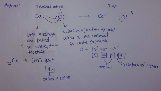 Augwer: long Neutral atong Ca: 5: -2 5 Ca* 0: Both electores 1 are paired so write docce together [AT] as ? 2 love pair (woll
