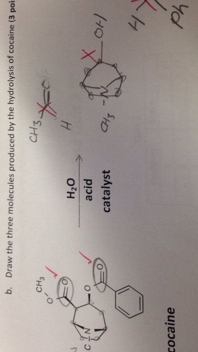 b. Draw the three molecules produced by the hydrolysis of cocaine (3 poi CH H2O acid catalyst