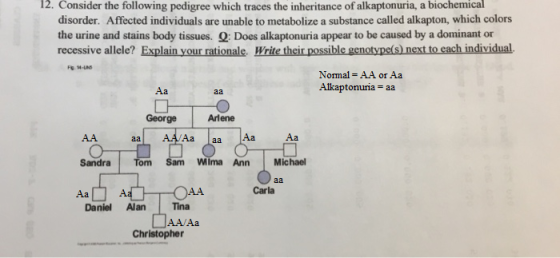 12. Consider the following pedigree which traces the inheritance of alkaptonuria, a biochemical disorder. Affected individual