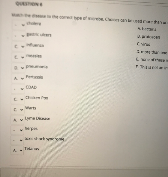 QUESTION Watch the disease to the correct type of microbe. Choices can be used more than one cholera A. bacteria gastric ulce