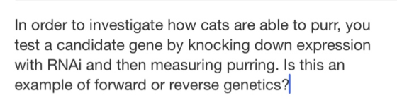 In order to investigate how cats are able to purr, you test a candidate gene by knocking down expression with RNAi and then m
