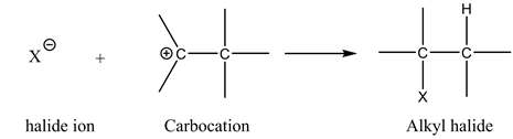 1o.
-H
halide ion
Carbocation
Alkyl halide
