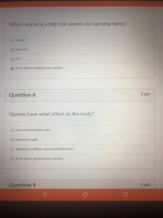 Which animal is a high risk species for carrying rabies? skunk raccoon O all of these answers are correct Question 8 5 pts Op