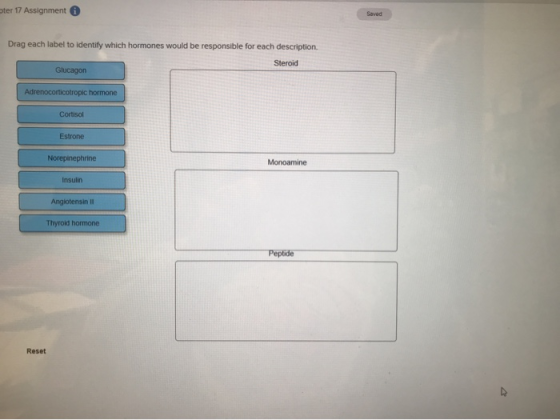 ter 17 Assignment Drag each label to identify which hormones would be responsible for each description Steroid Glucagon Adren