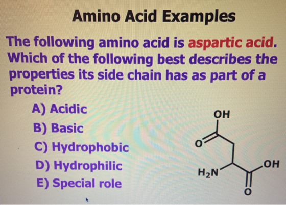 Amino Acid Examples The following amino acid is aspartic acid. Which of the following best describes the properties its side