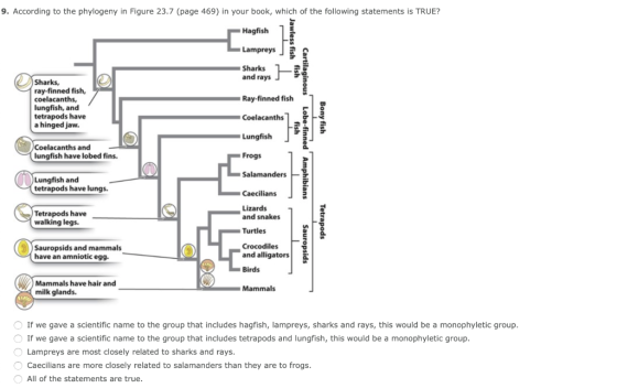 . According to the phylogeny in Figure 23.7 (page 469) in your book, which of the following statements is TRUE? Hagfish Lampr