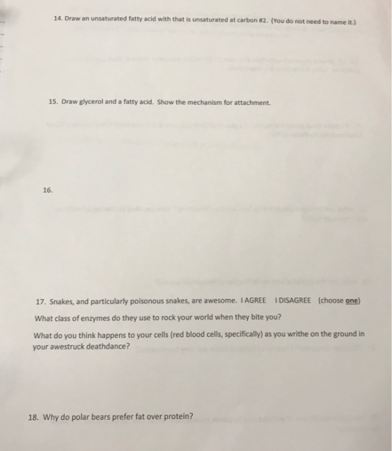 14. Draw an unsaturated fatty acid with that is unsaturated at carbon #2. (You do not need to name it.) 15. Draw glycerol and